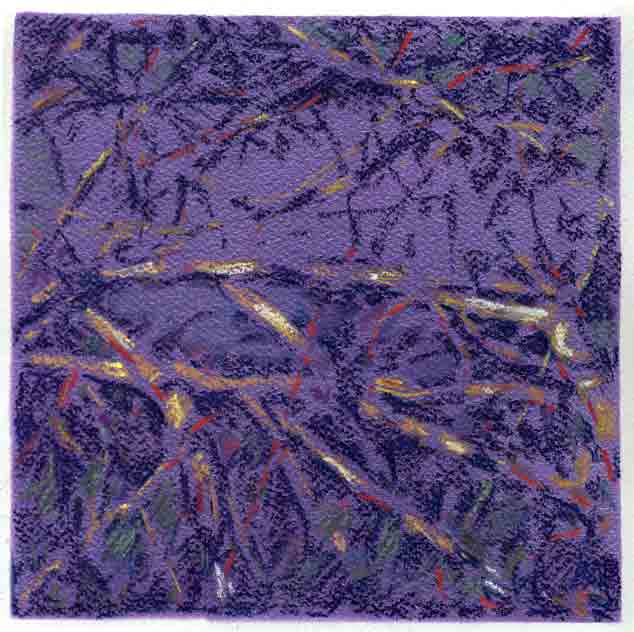 branches sur plan violet